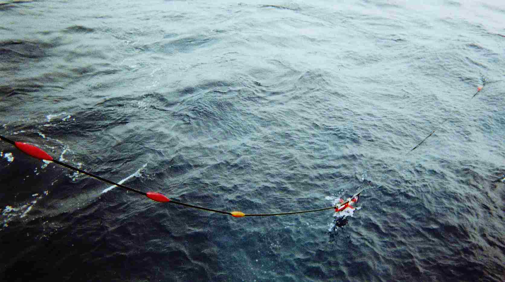 Solid streamer cable towed hydrophone array